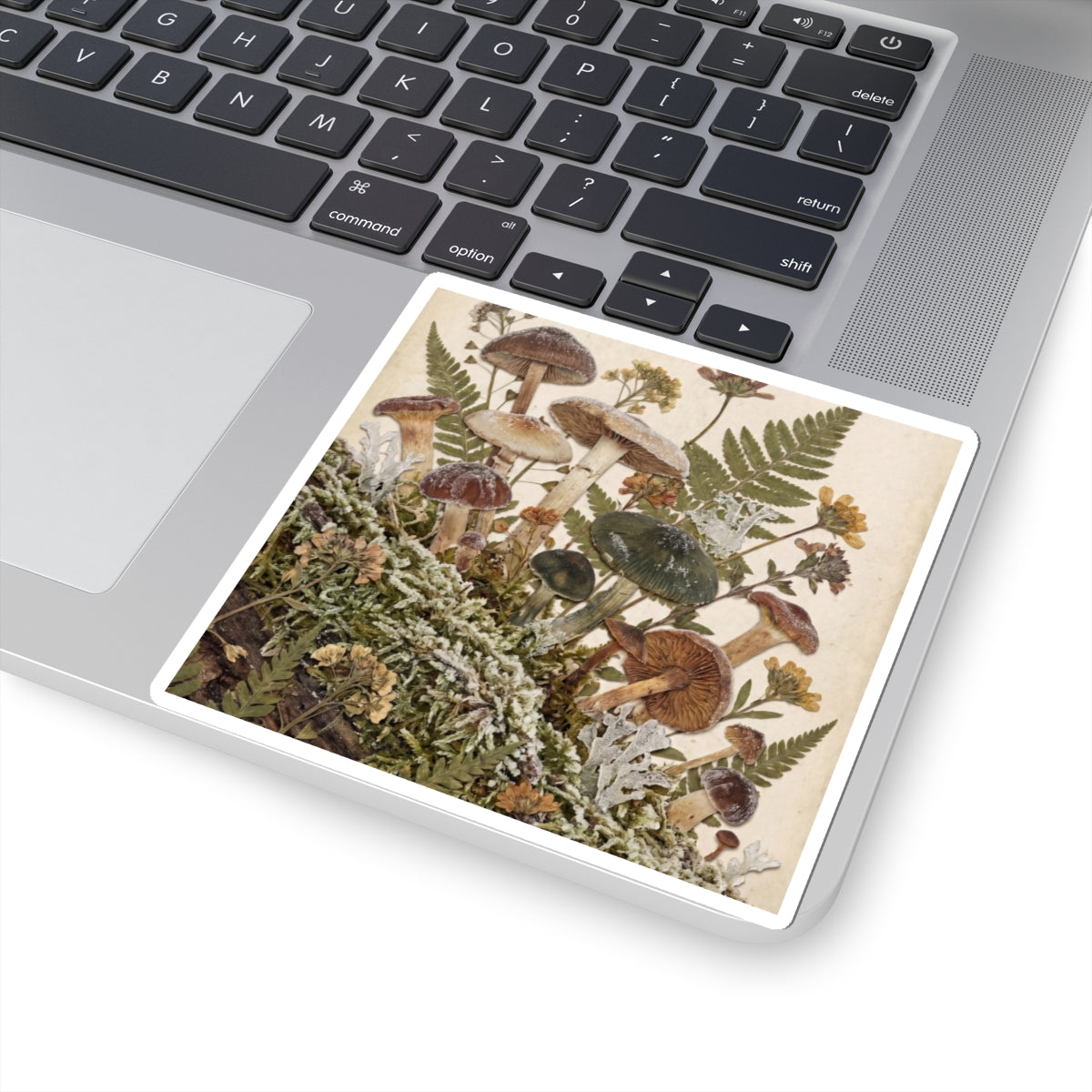 Winter Wild Mushrooms Herbarium Sticker | Rustic Decor
