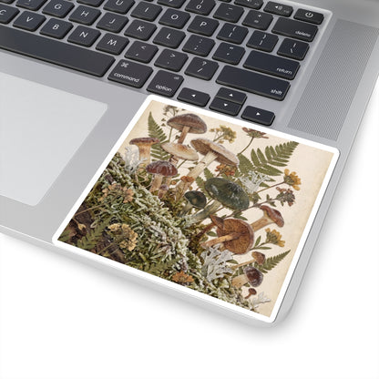 Winter Wild Mushrooms Herbarium Sticker | Rustic Decor