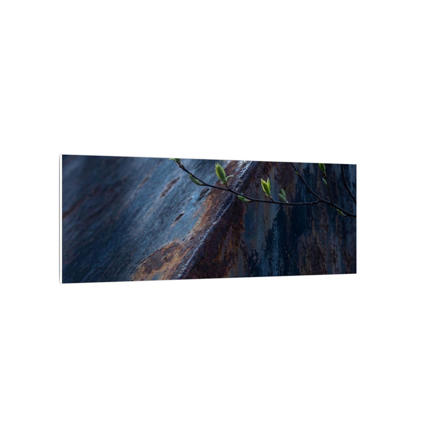 Rust Patina Canvas Art | Spring Dark Japandi Shadow Zen Art