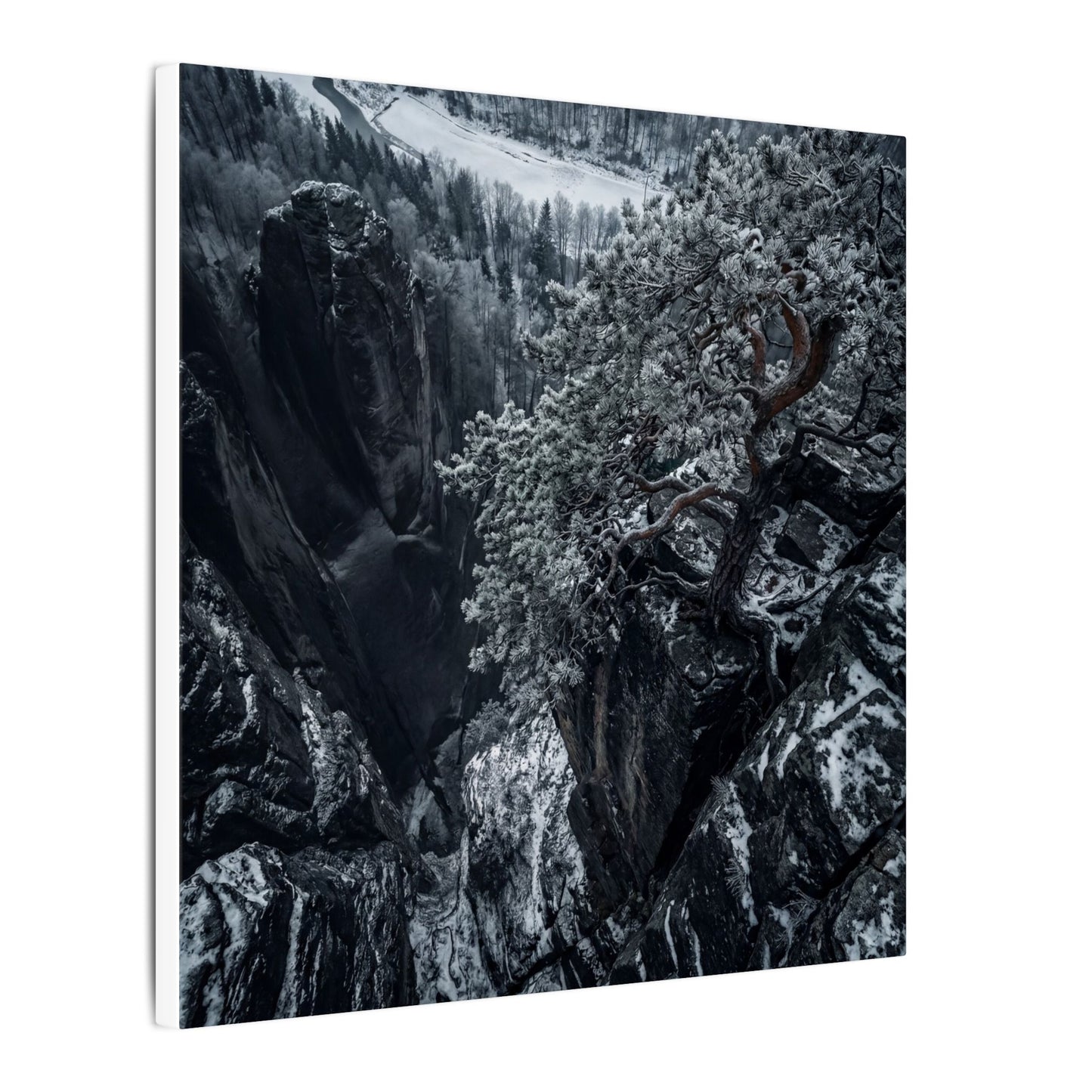 Dark Japandi Pine Tree in Dappled | Dark Texture Canvas Art