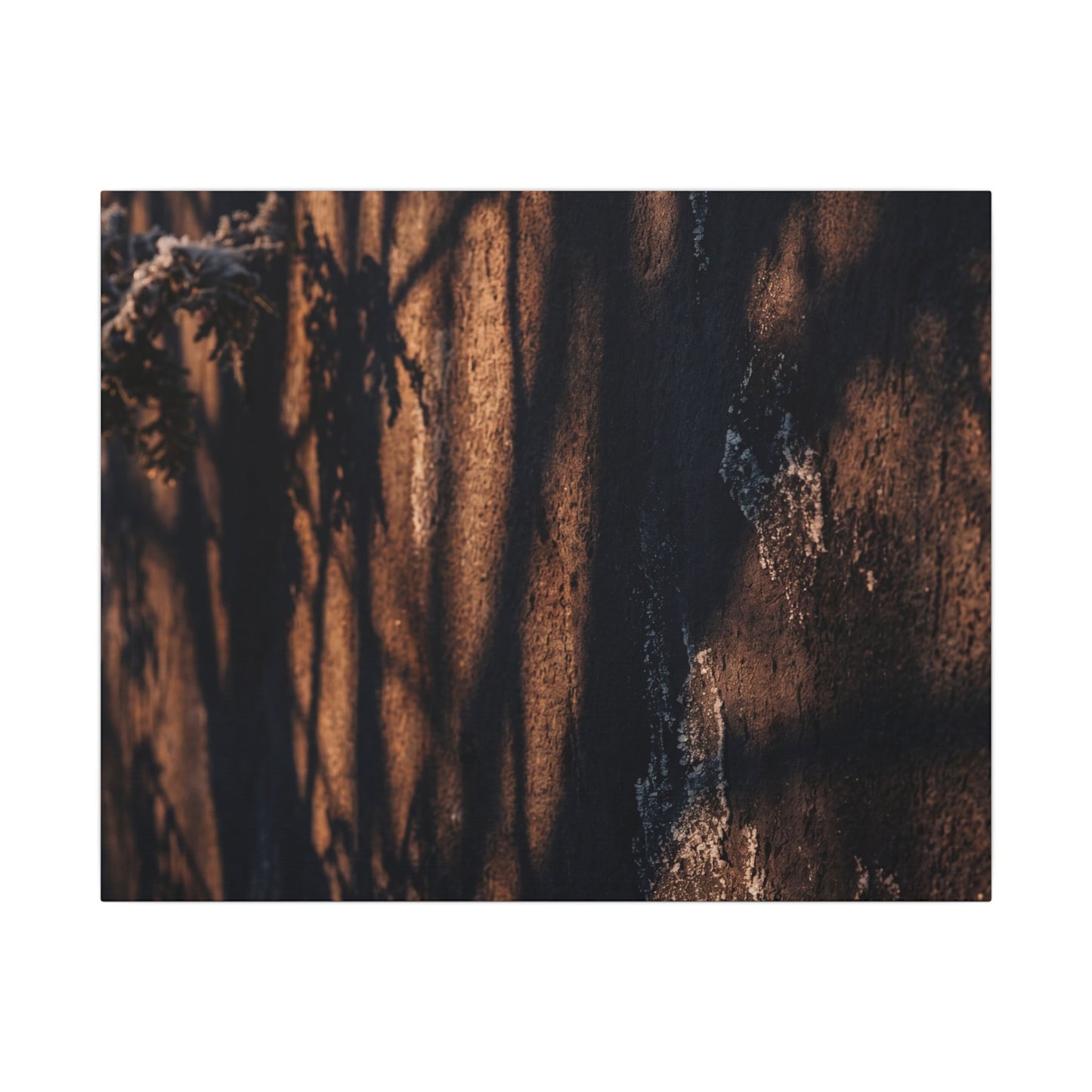 Golden Hour Shadow Play Canvas Art - Dark Japandi Fukinsei Art Print