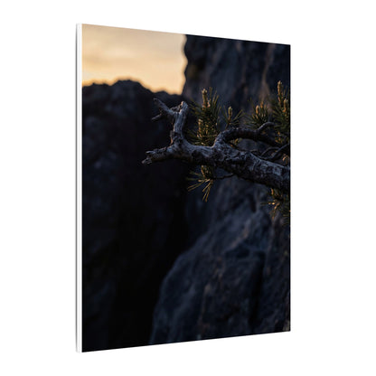 Pine Tree Moody Minimal Canvas Art | Sophisticated Dark Japandi Art