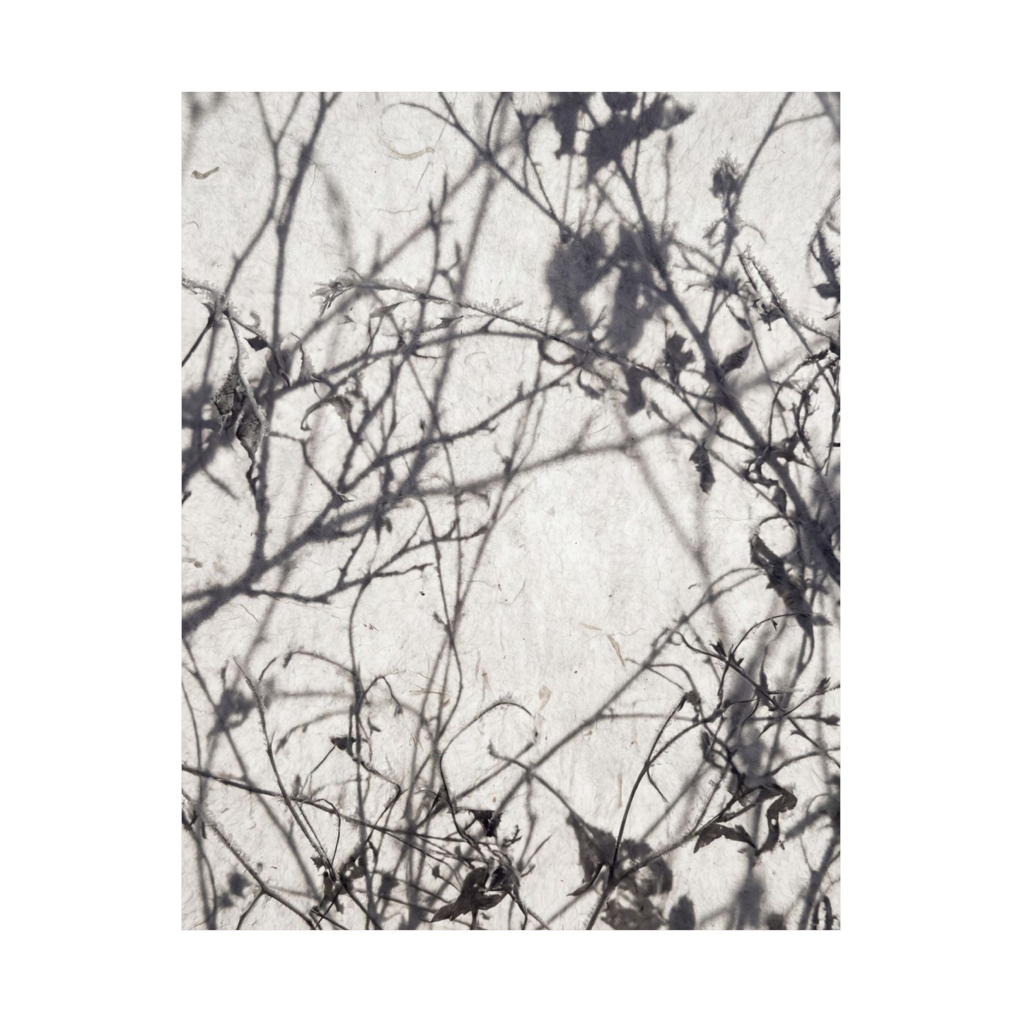 Shadow Play Wall Art Print | Winter Japandi Japanese Pattern Art