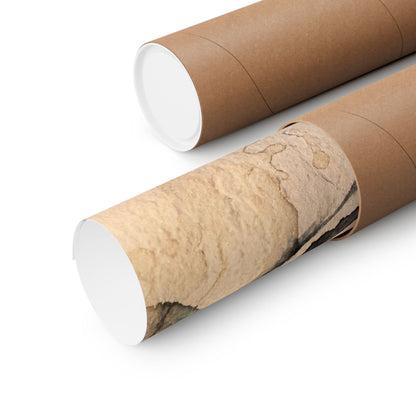 Shadow Play Winter Wall Art Print | Japandi Cozy Design