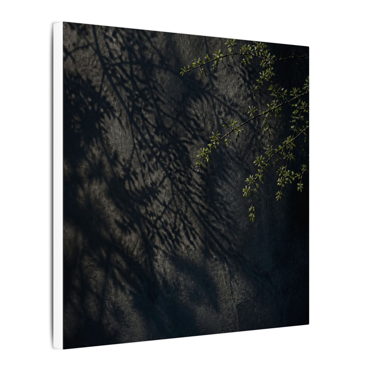 Overcast Shadow Play Canvas Art - Dark Japandi Seijaku