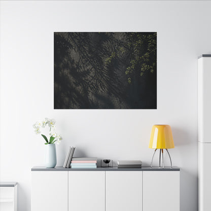 Overcast Shadow Play Canvas Art - Dark Japandi Seijaku