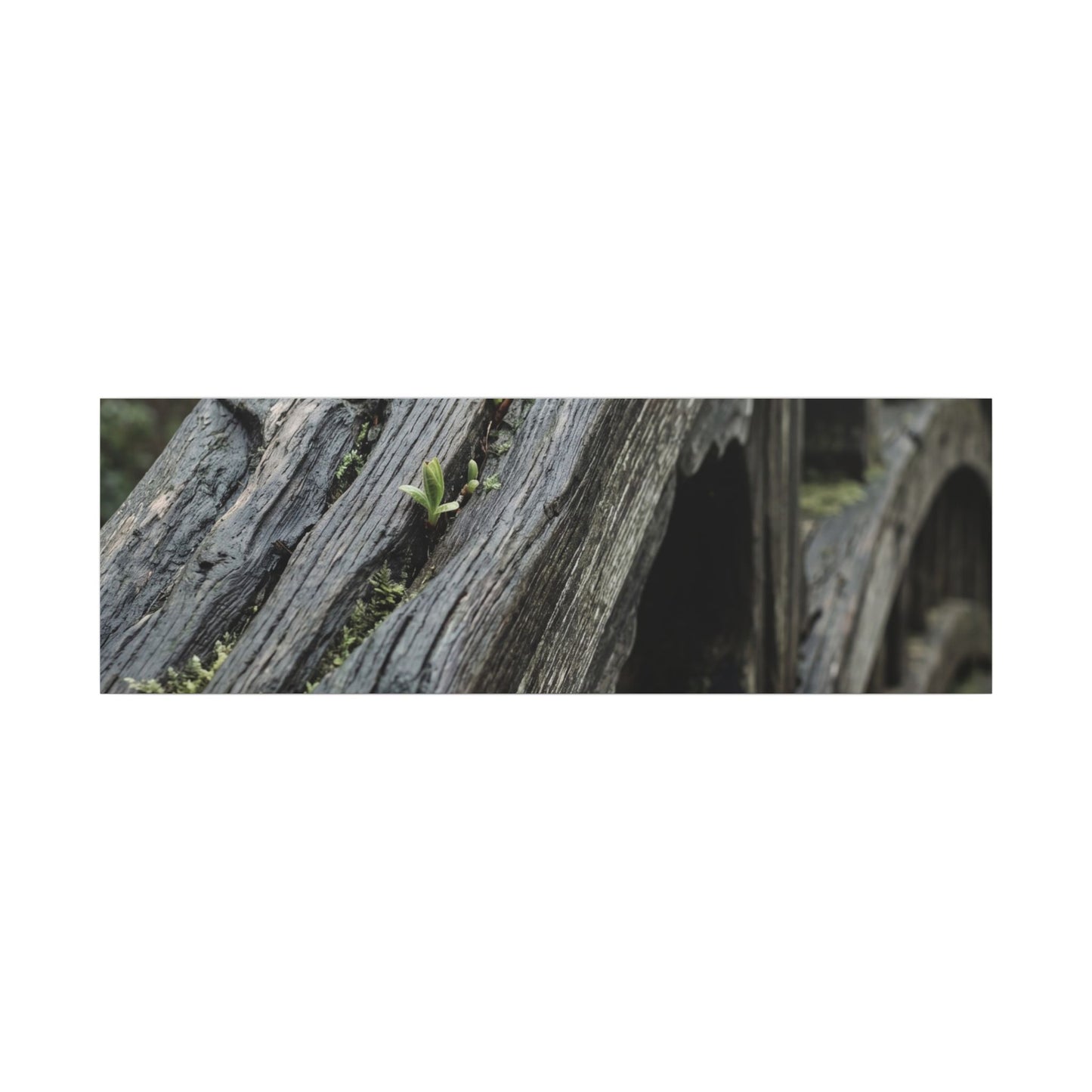 Overcast Wooden Bridge Canvas Art - Japandi Kanso