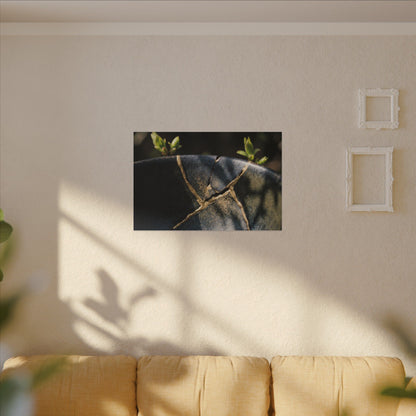 Seijaku Broken Pottery Canvas Art - Dark Japandi Shadow Zen