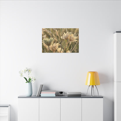 Summer Dried Flowers Minimal Line Canvas Art | Cozy Decor