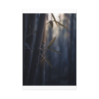Dark Japandi Bamboo Grove in Dawn | Moody Minimal Canvas Art