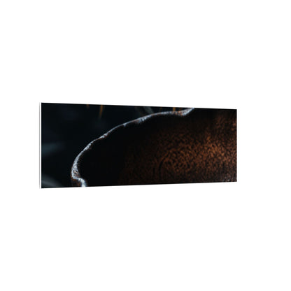 Luxurious Ceramic Bowl Canvas Art - Shadow Zen Dark Japandi