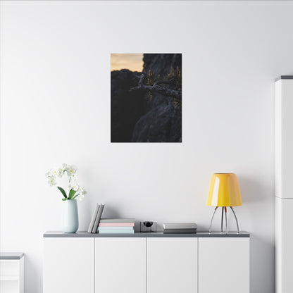 Pine Tree Moody Minimal Canvas Art | Sophisticated Dark Japandi Art