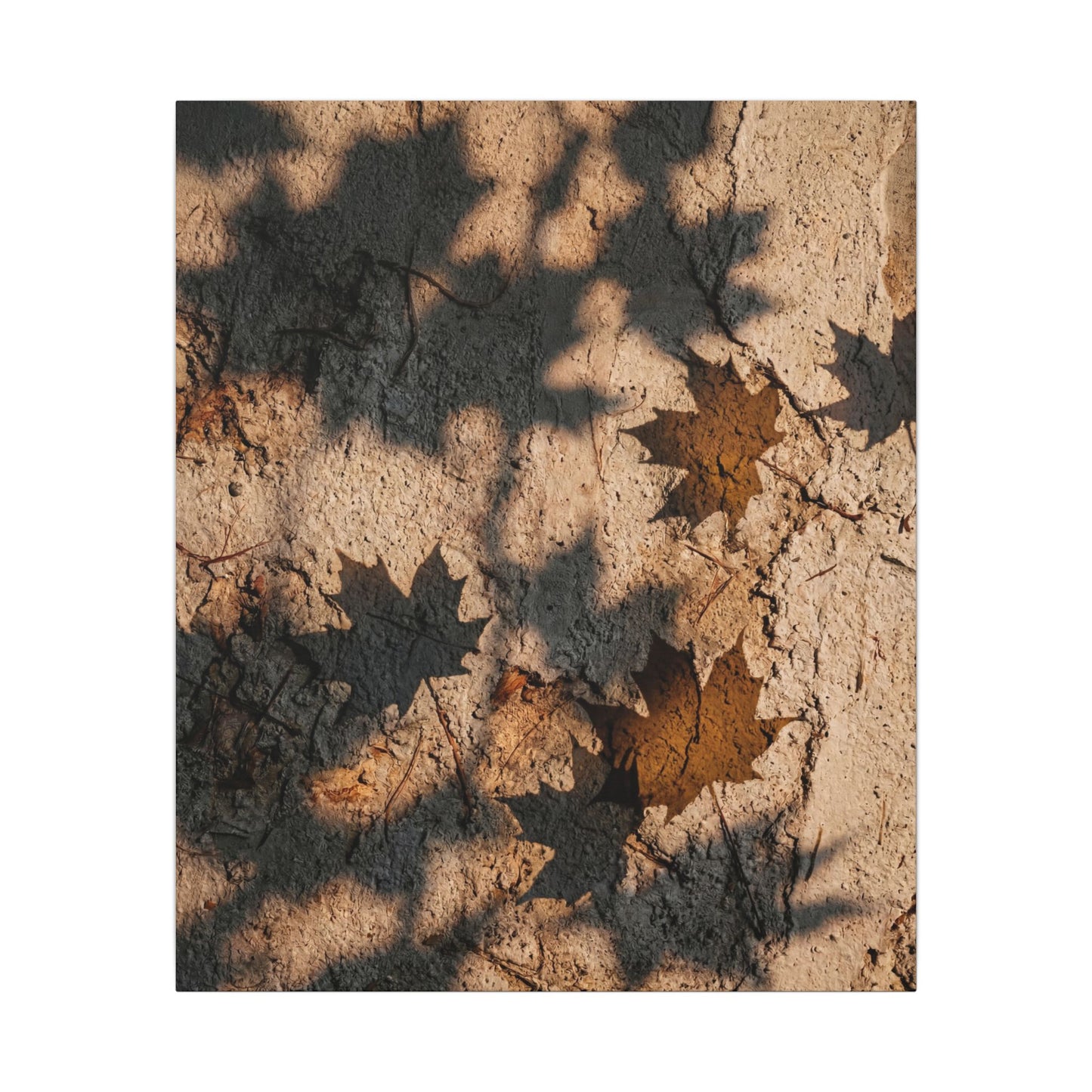 Cozy Shadow Play Canvas Art - Texture Japandi