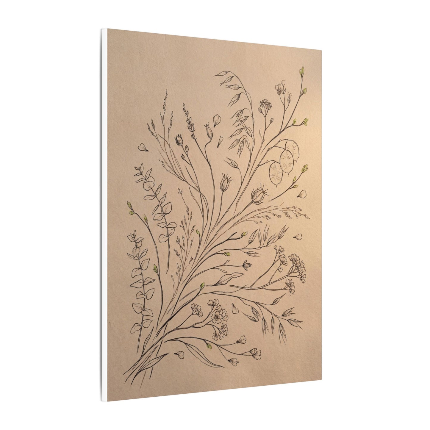 Dried Flowers Canvas Art | Spring Japandi Minimal Line Art