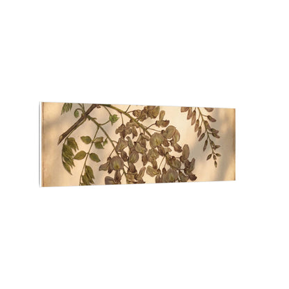 Spring Wisteria Herbarium Canvas Art | Earthy Decor