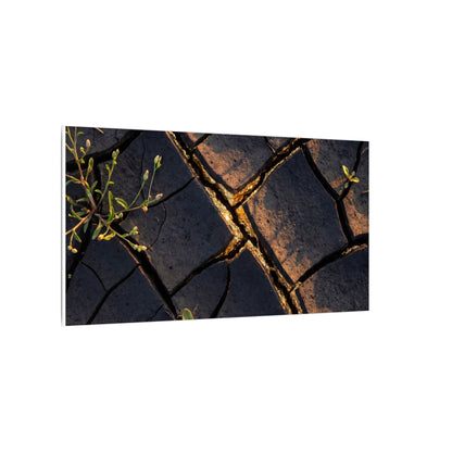 Kintsugi Cracked Earth in Golden Hour | Gold Vein Canvas Art