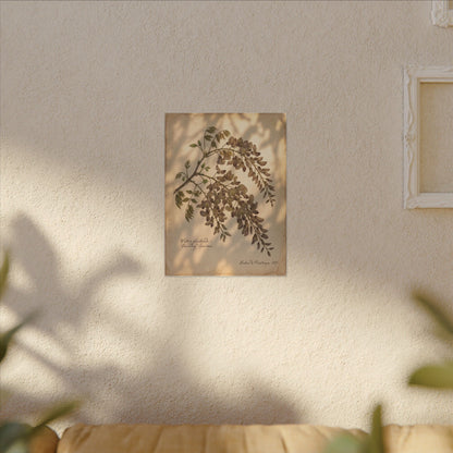 Spring Wisteria Herbarium Canvas Art | Earthy Decor