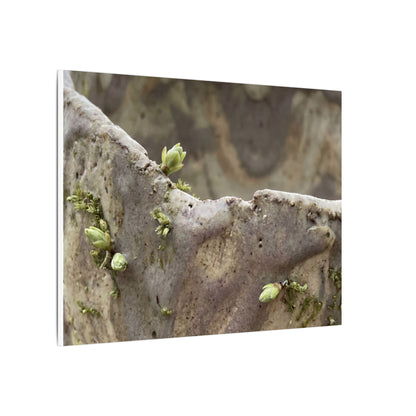 Overcast Ceramic Bowl Canvas Art - Japandi Fukinsei