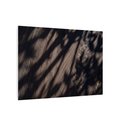 Shadow Play Summer Canvas Art | Dark Japandi Moody Design