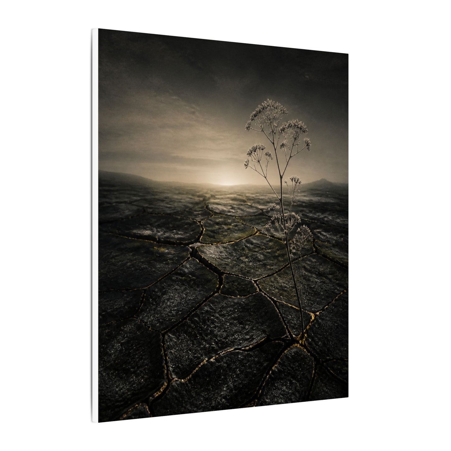 Dawn Cracked Earth Canvas Art - Dark Japandi Mono No Aware