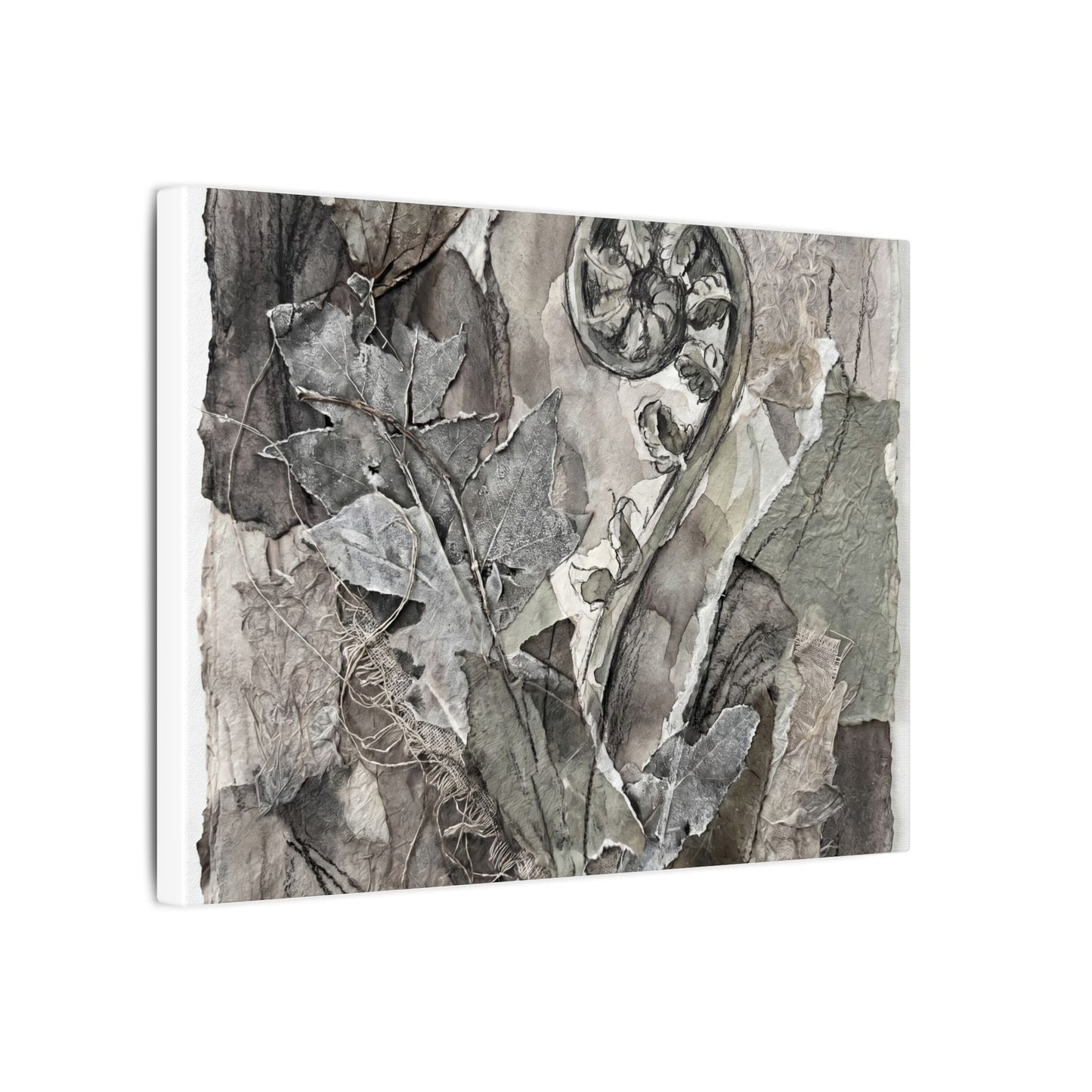 Japandi Fern Unfurling in Overcast | Texture Canvas Art