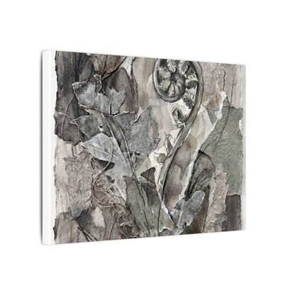 Japandi Fern Unfurling in Overcast | Texture Canvas Art