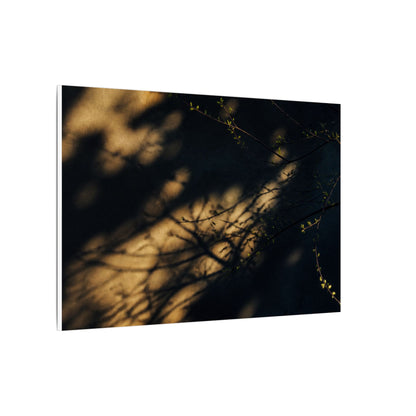Moody Shadow Play Canvas Art - Moody Minimal Dark Japandi