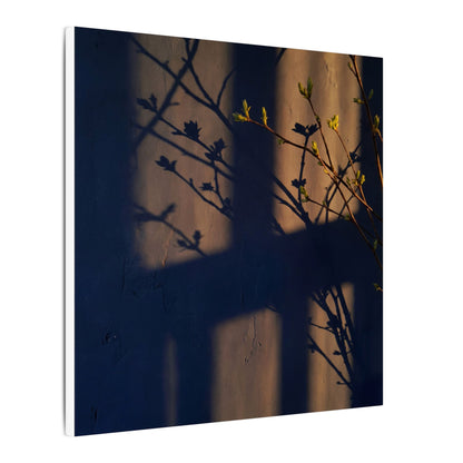 Shadow Play Canvas Art | Spring Dark Japandi Shadow Zen Art