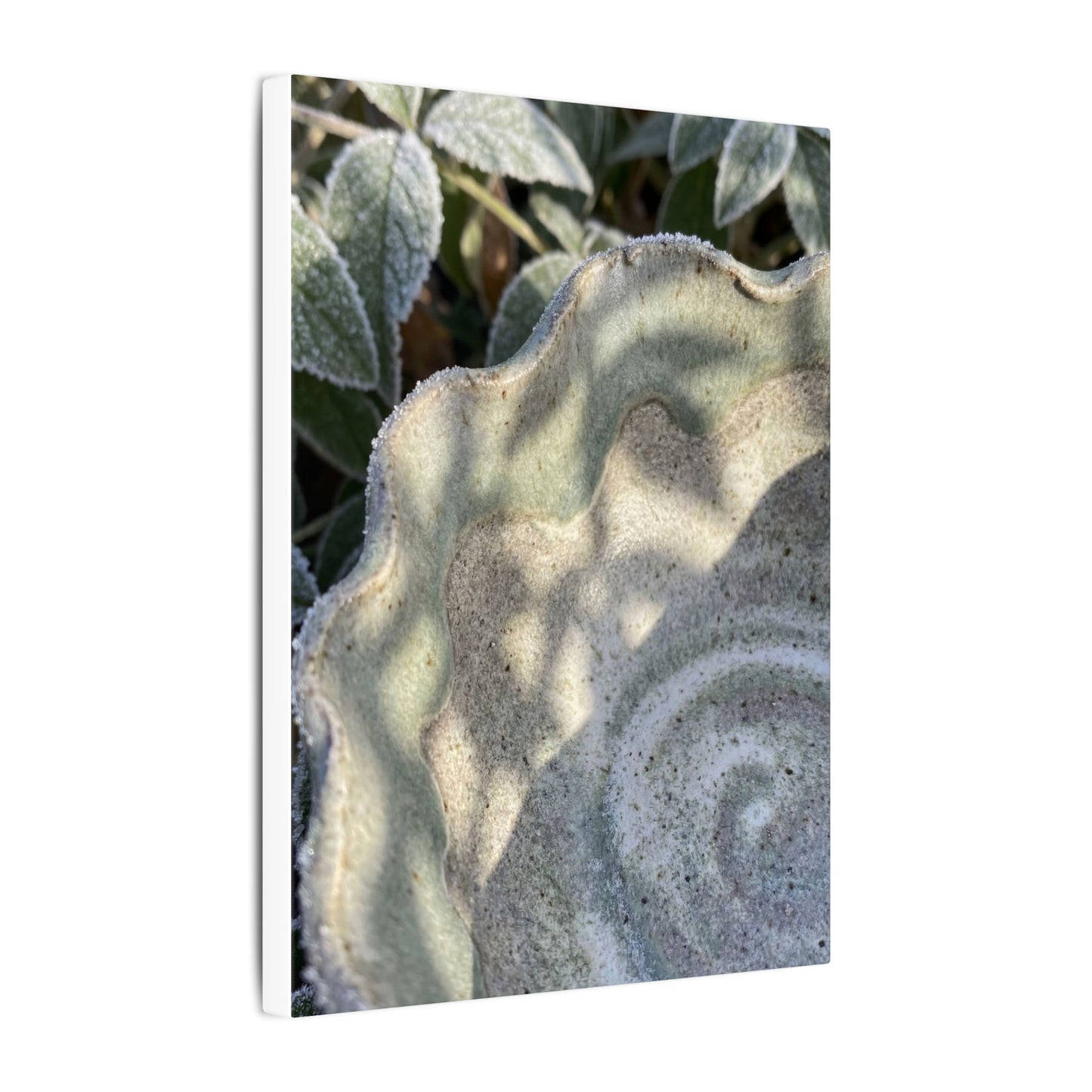 Dappled Ceramic Bowl Canvas Art - Japandi Seijaku