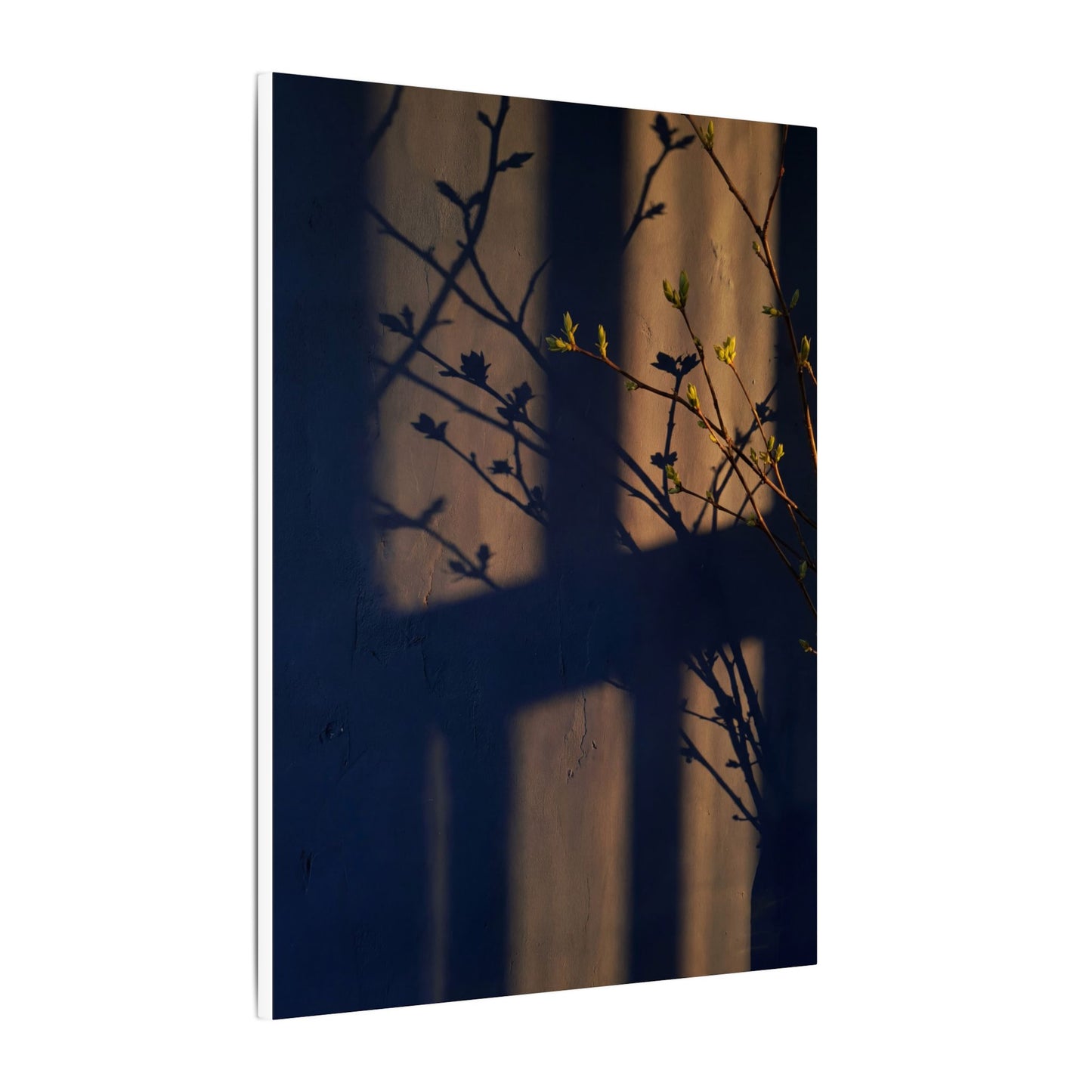 Shadow Play Canvas Art | Spring Dark Japandi Shadow Zen Art