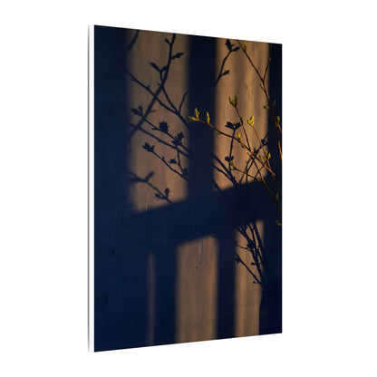 Shadow Play Canvas Art | Spring Dark Japandi Shadow Zen Art