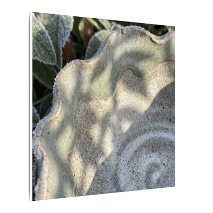 Dappled Ceramic Bowl Canvas Art - Japandi Seijaku