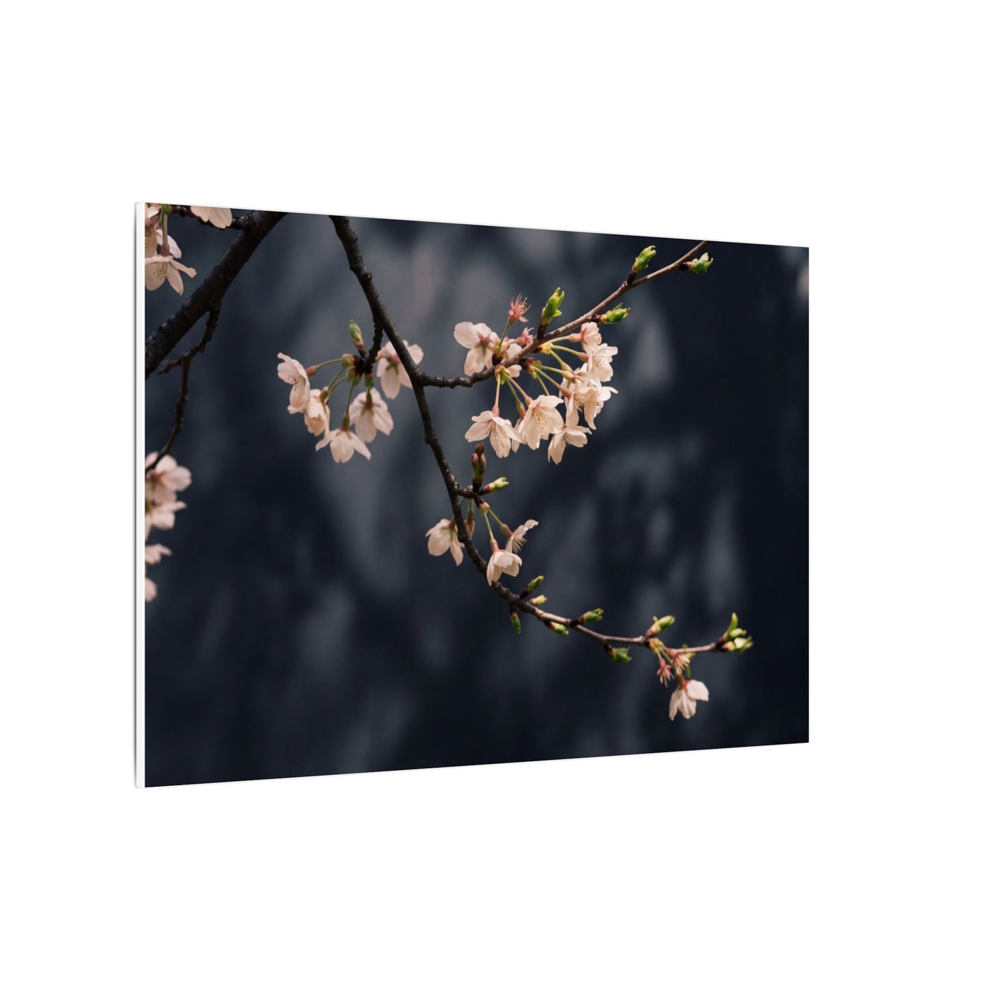 Cherry Blossom Moody Minimal Canvas Art | Bold Dark Japandi Art