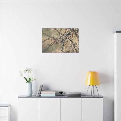 Japandi Shadow Play in Golden Hour | Texture Canvas Art