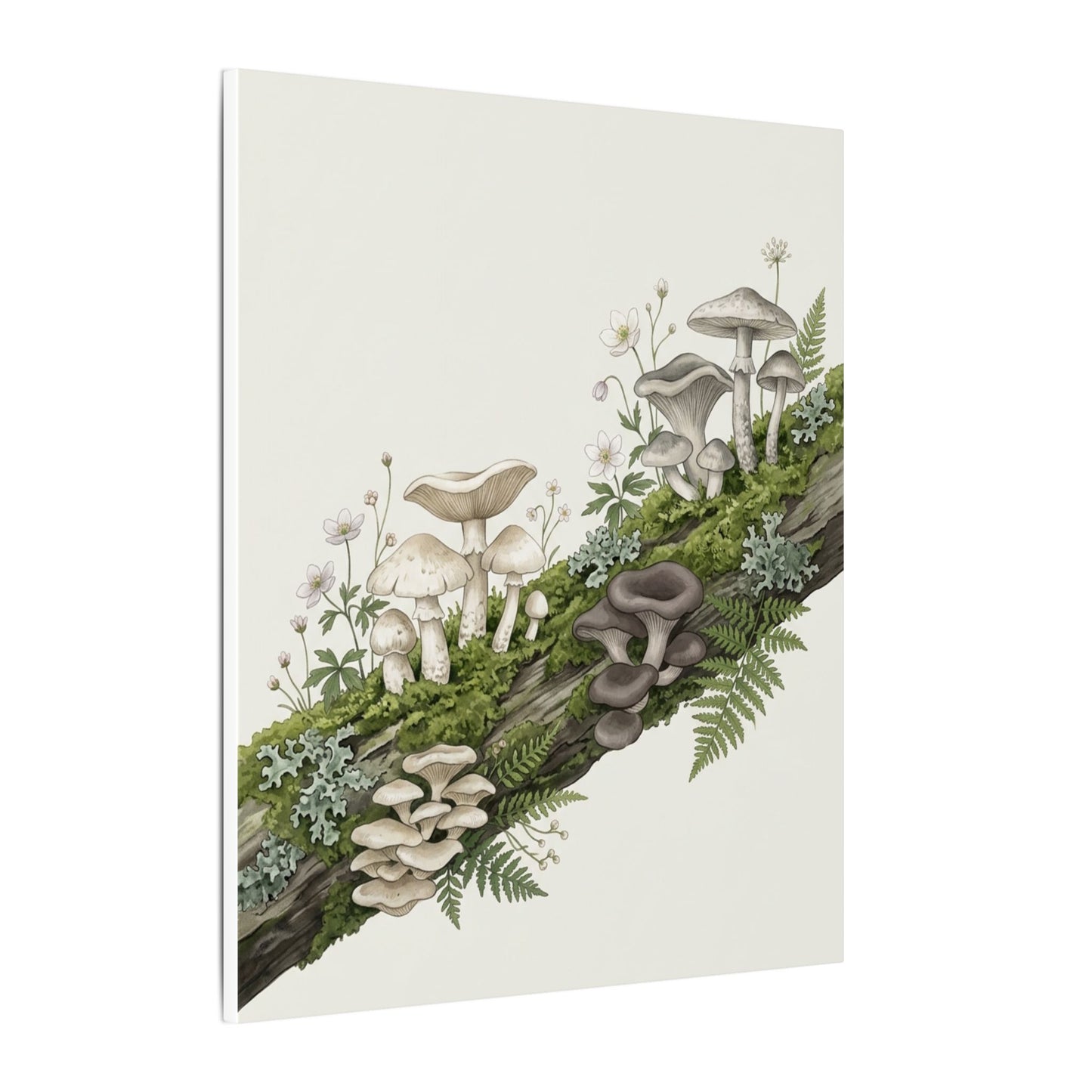 Dappled Wild Mushrooms Canvas Art - Japandi Ma