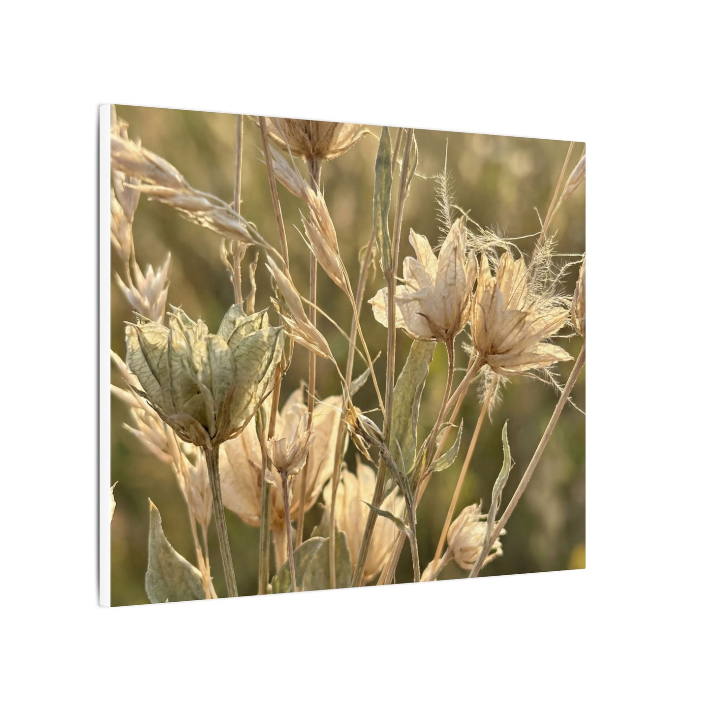 Summer Dried Flowers Minimal Line Canvas Art | Cozy Decor