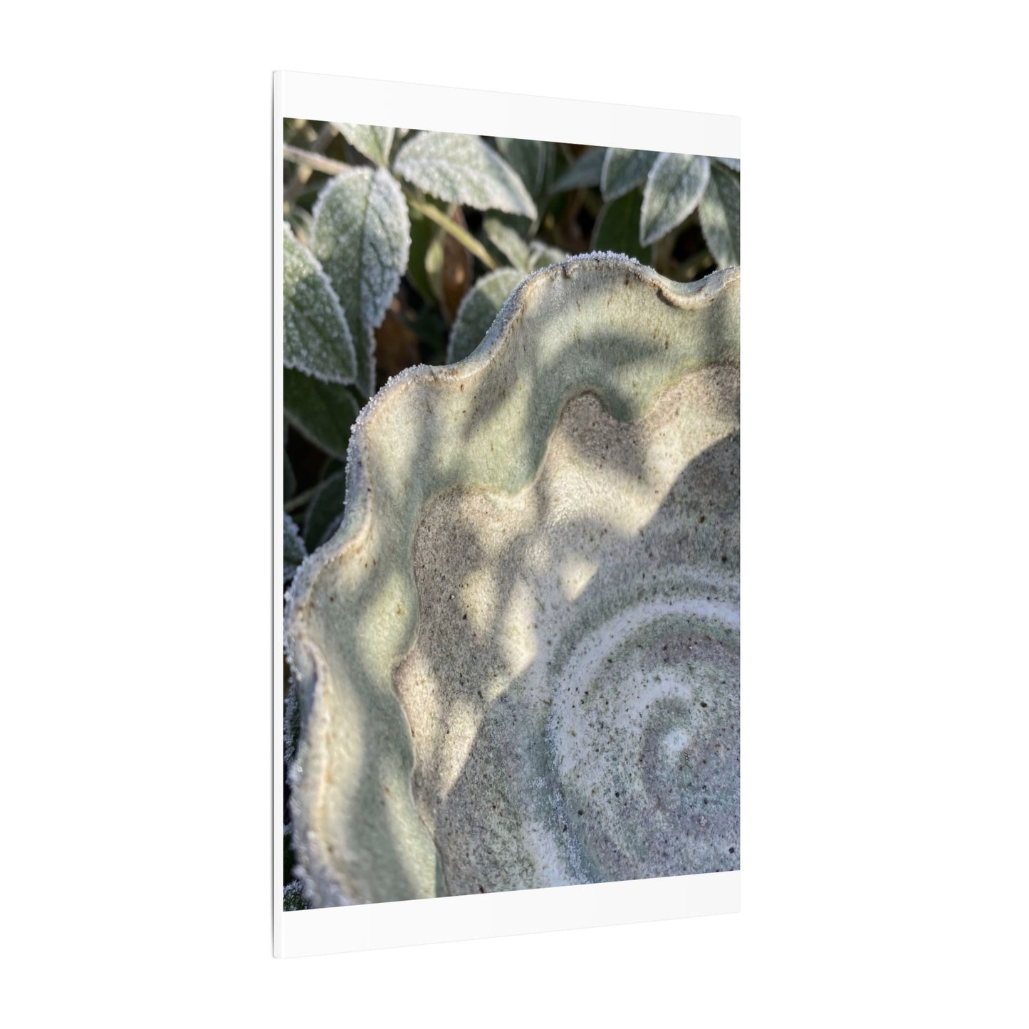 Dappled Ceramic Bowl Canvas Art - Japandi Seijaku