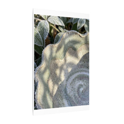 Dappled Ceramic Bowl Canvas Art - Japandi Seijaku