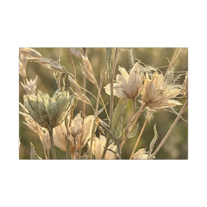 Summer Dried Flowers Minimal Line Canvas Art | Cozy Decor