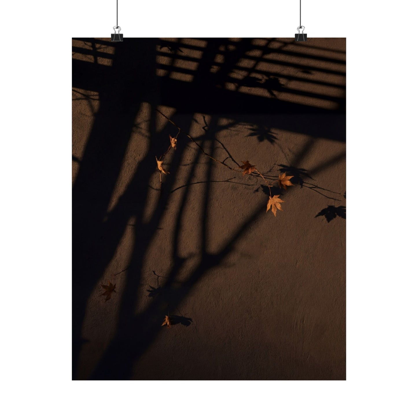 Autumn Shadow Play Shadow Zen Wall Art Print | Sophisticated Decor Art Print