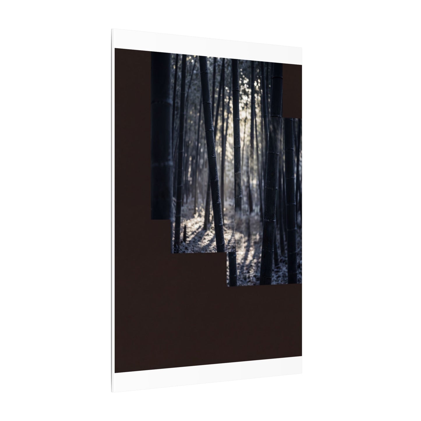 Bamboo Grove Canvas Art | Winter Dark Japandi Moody Minimal Art