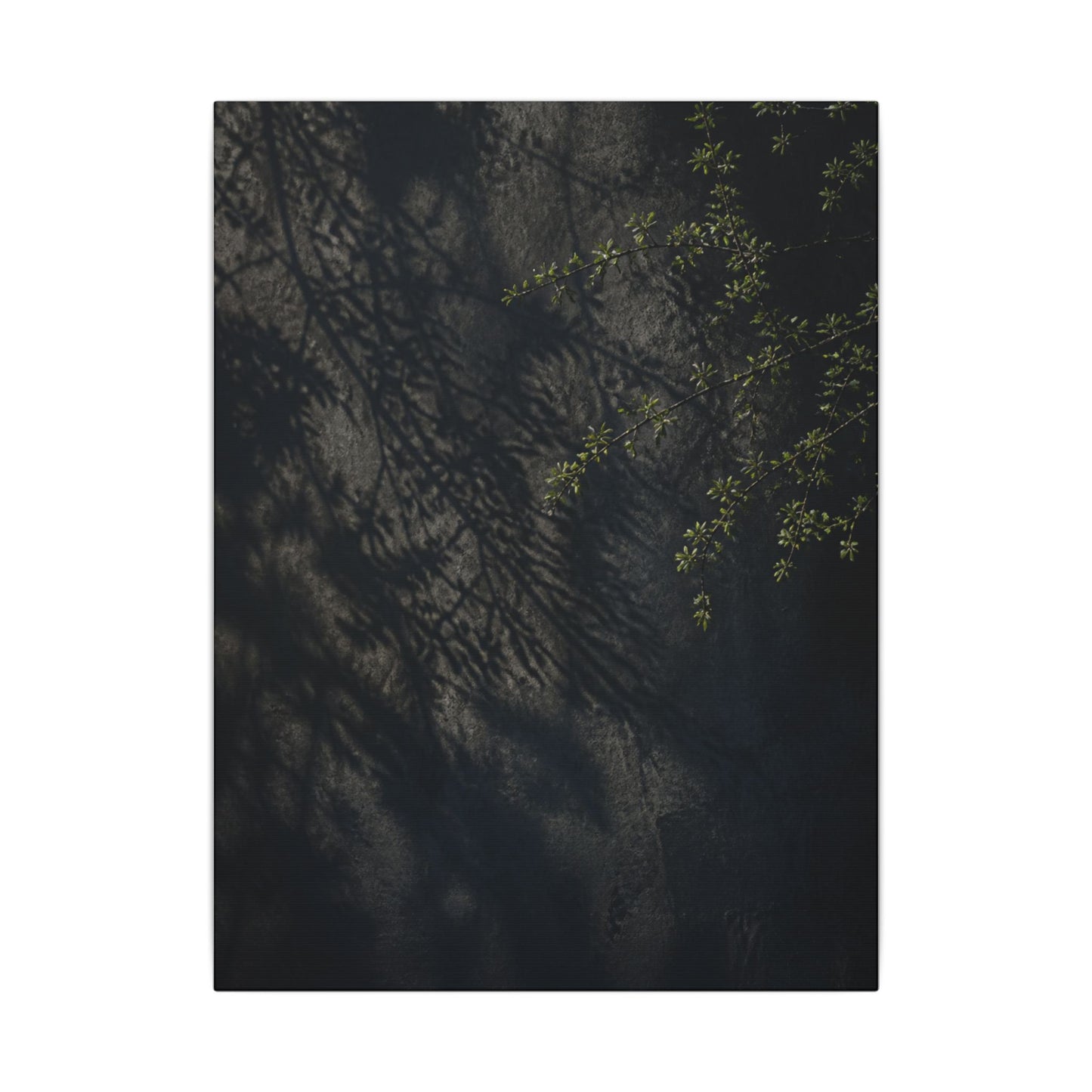 Overcast Shadow Play Canvas Art - Dark Japandi Seijaku