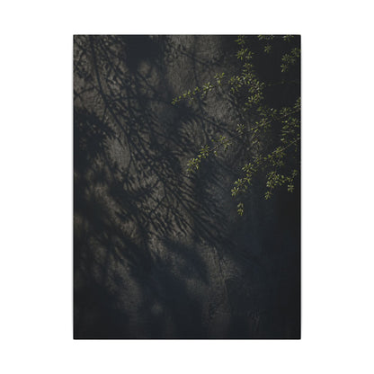 Overcast Shadow Play Canvas Art - Dark Japandi Seijaku