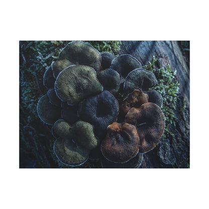 Wild Mushrooms Moody Minimal Canvas Art | Moody Dark Japandi Art
