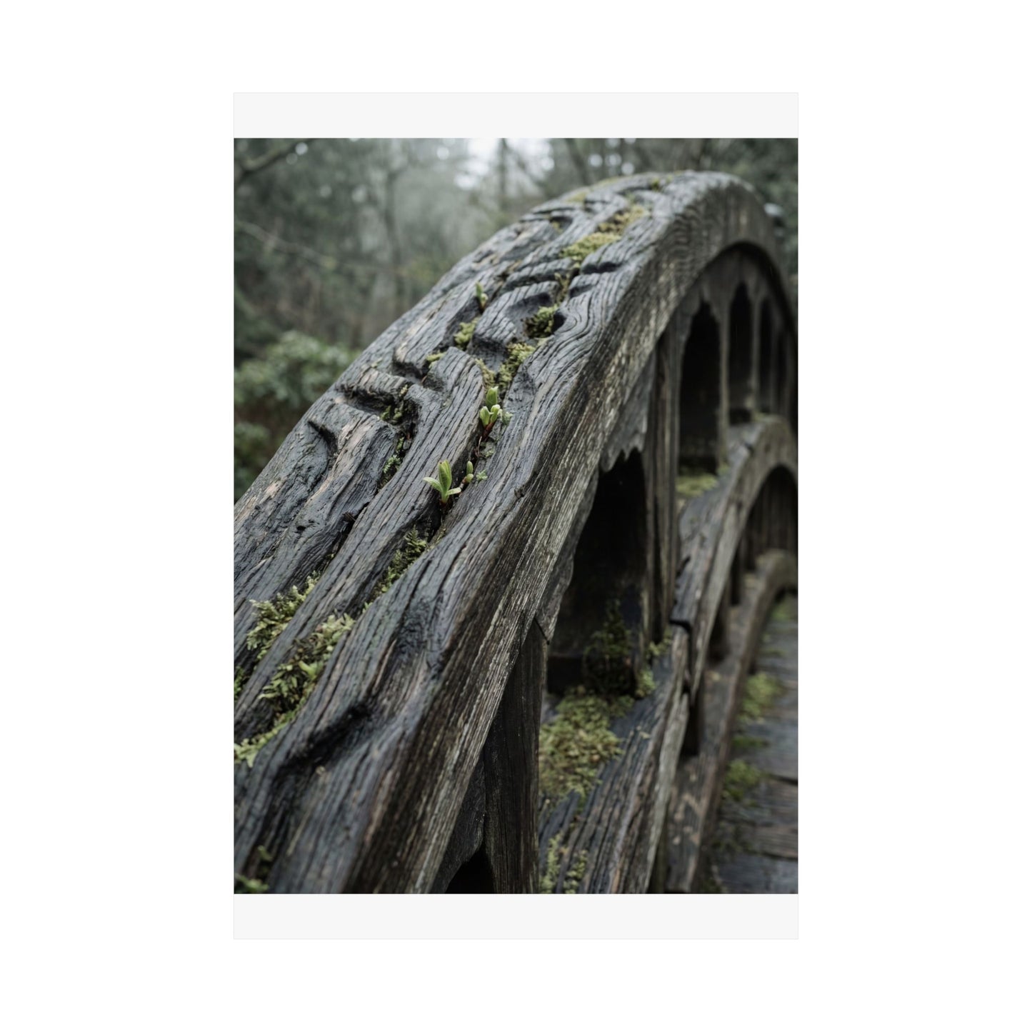 Kanso Wooden Bridge Wall Art Print - Japandi Japanese Pattern