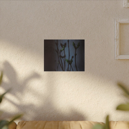 Shadow Play Spring Canvas Art | Dark Japandi Sophisticated Design