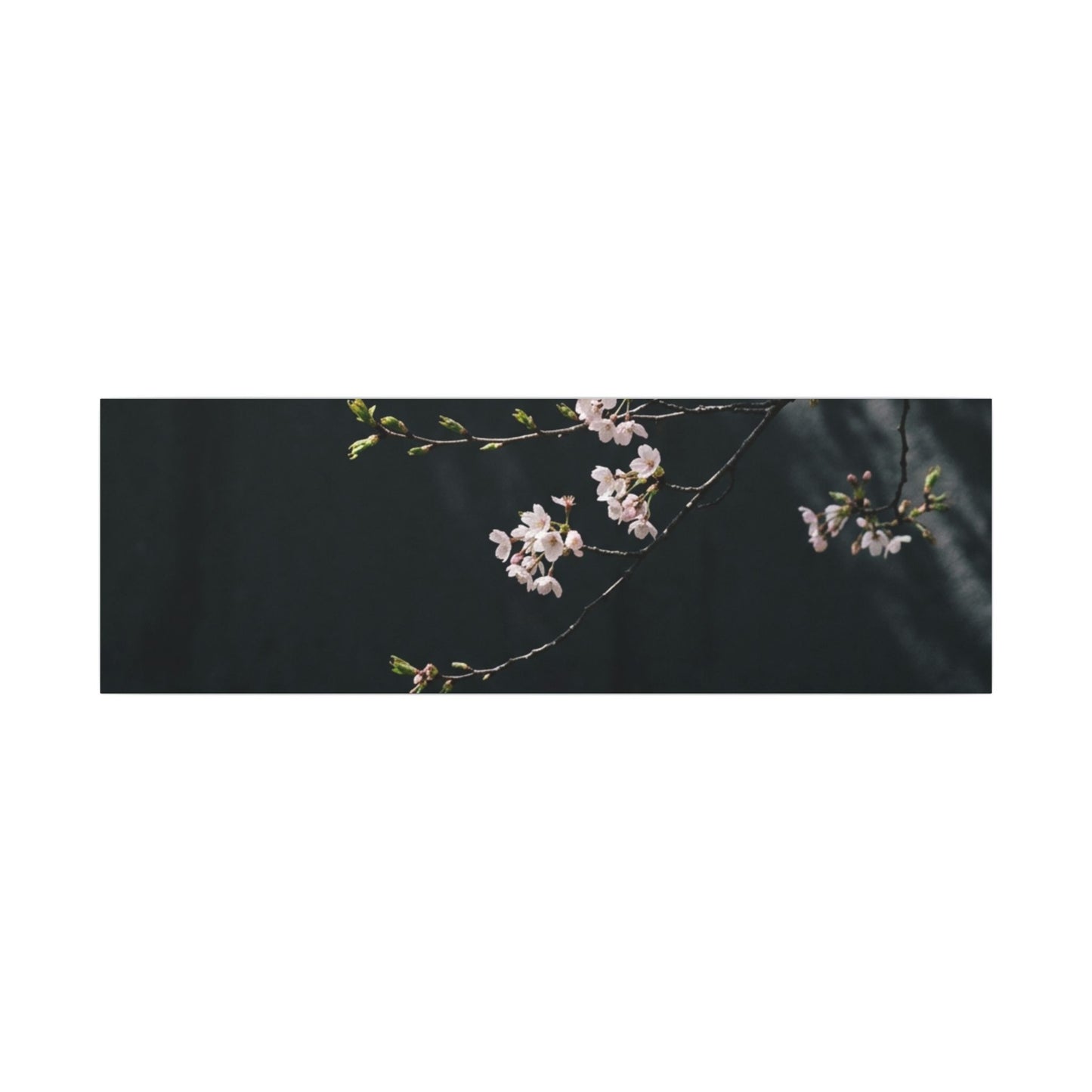 Cherry Blossom Spring Canvas Art | Dark Japandi Sophisticated Design