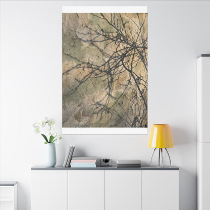 Japandi Shadow Play in Golden Hour | Texture Canvas Art