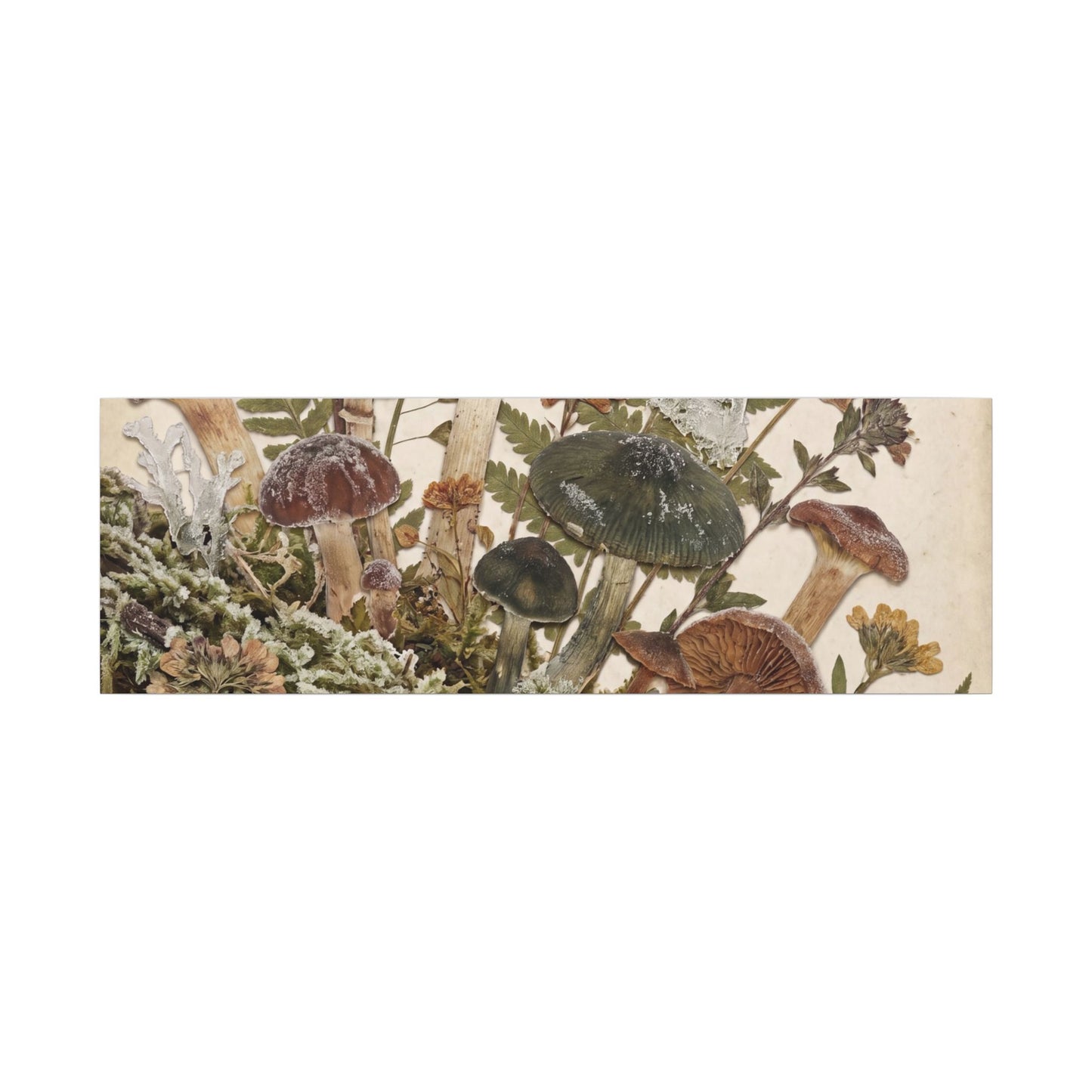 Winter Wild Mushrooms Herbarium Canvas Art | Enchanting Decor