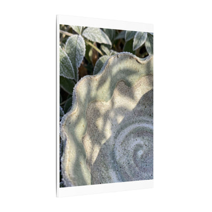 Dappled Ceramic Bowl Canvas Art - Japandi Seijaku